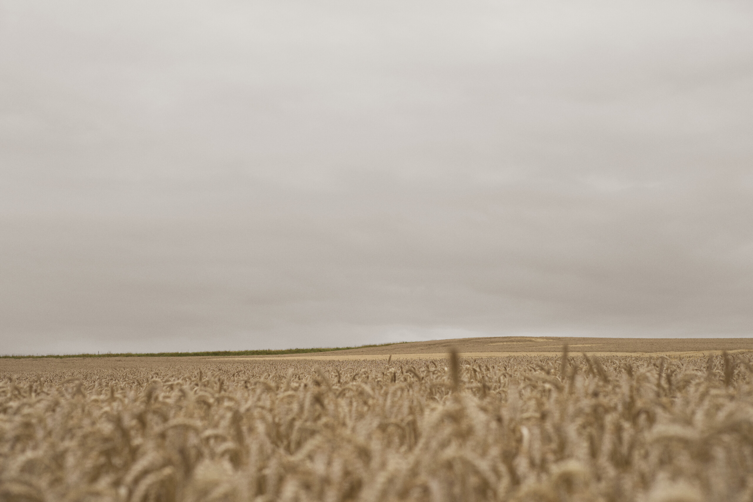 bæredygtigt køkken